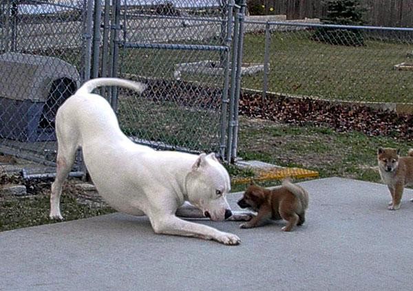 funny picture 63 jpg