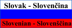 Slovak - Slovenian Flag