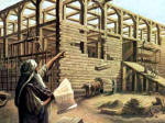 noah027.jpg