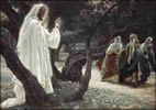 Matthew 28:1